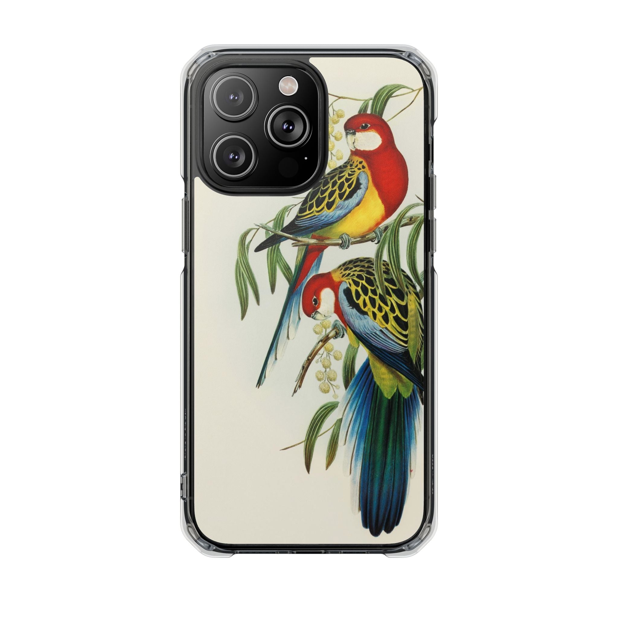 Rosehill Parakeet by Elizabeth Gould - Magnetic Clear Impact Case