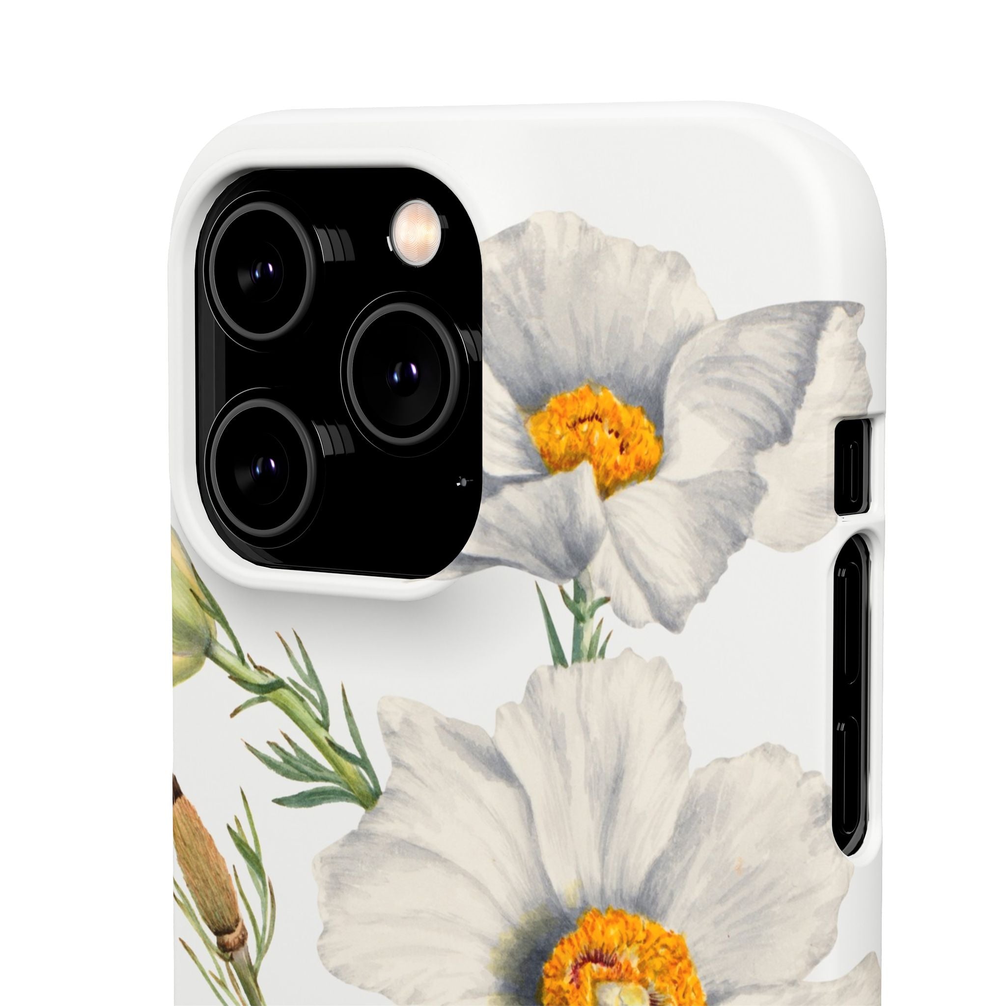 Matilija Poppy by Mary Vaux Walcott - Snap Case