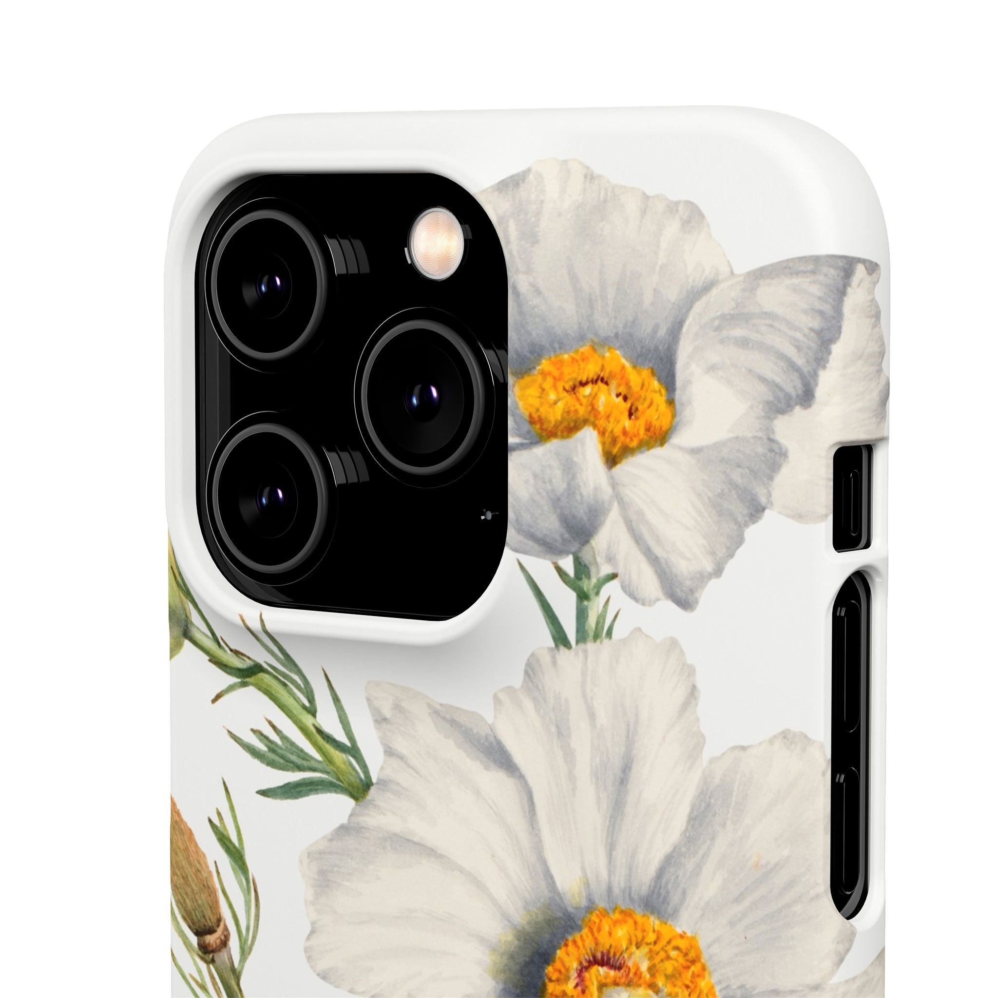 Matilija Poppy by Mary Vaux Walcott - Snap Case