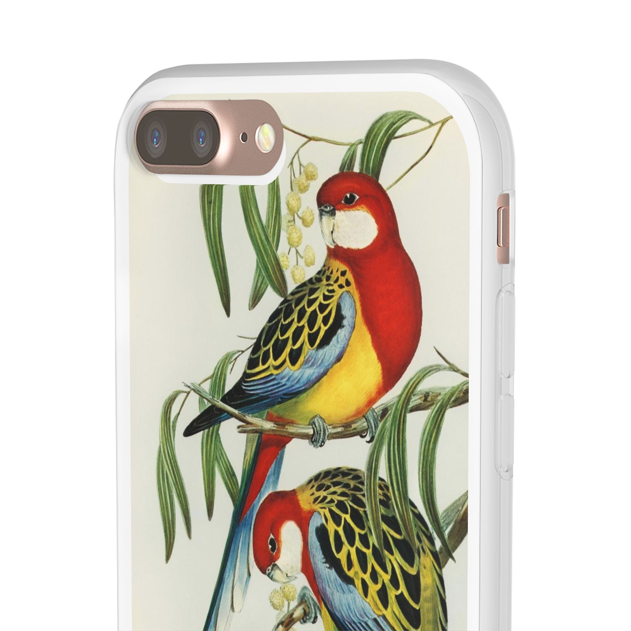 Rosehill Parakeet by Elizabeth Gould - Flexi Case