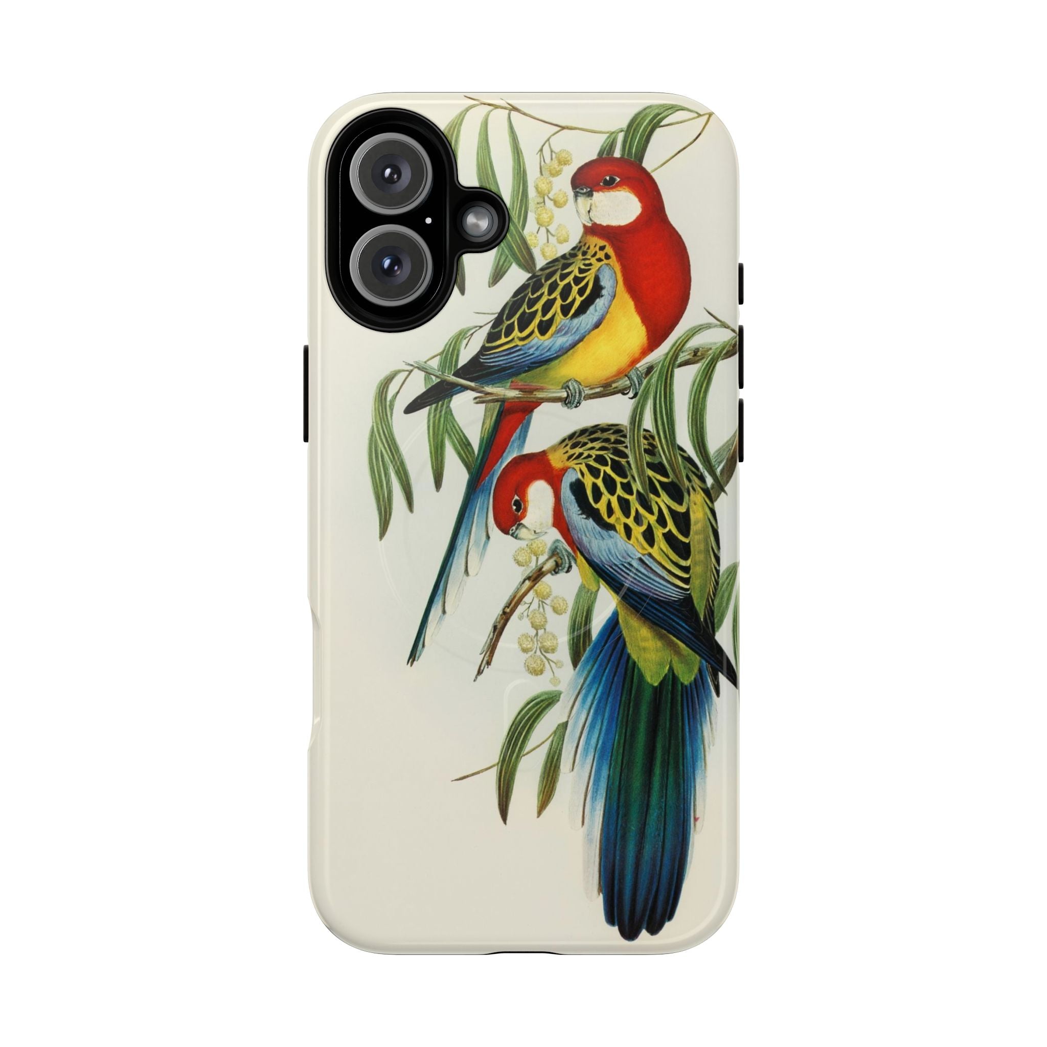 Rosehill Parakeet by Elizabeth Gould - Tough Magnetic Case