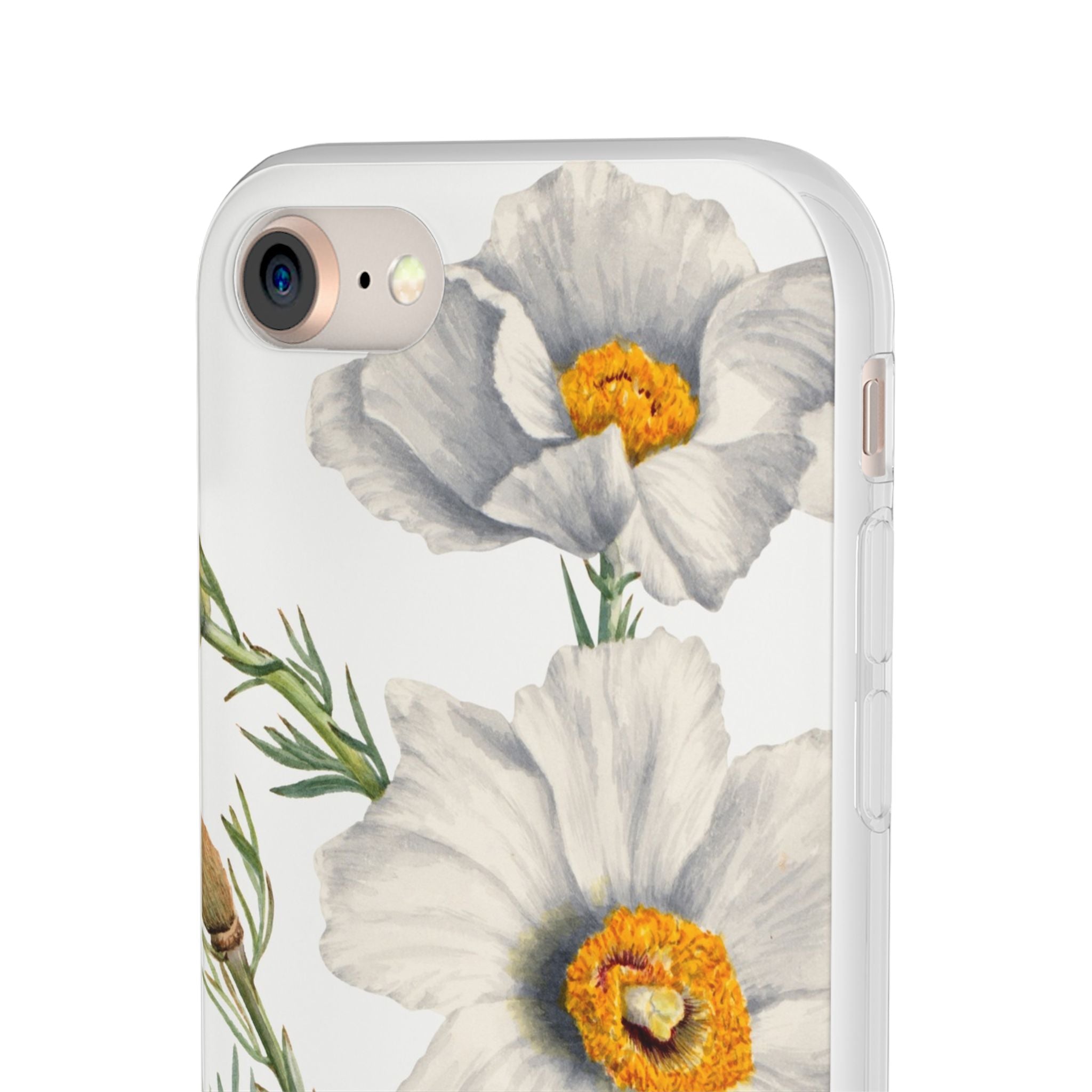 Matilija Poppy by Mary Vaux Walcott - Flexi Case