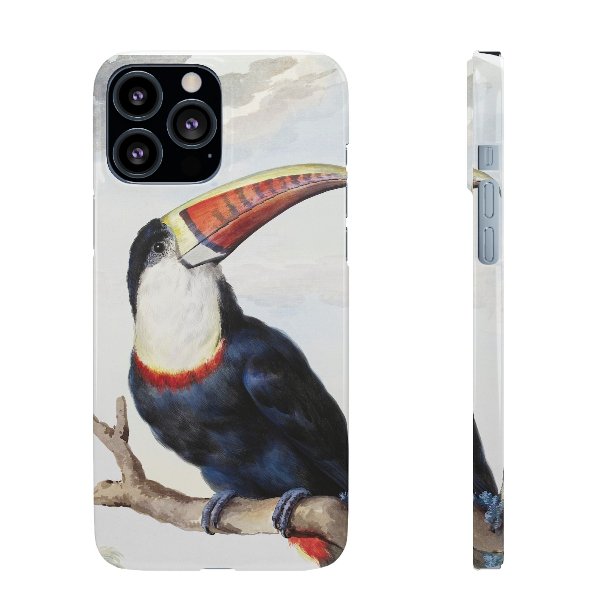 Red-billed Toucan (1748) - Snap Case