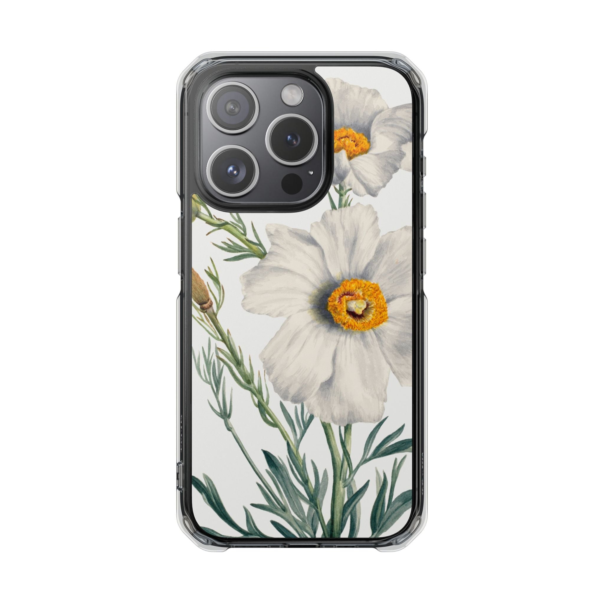 Matilija Poppy by Mary Vaux Walcott - Magnetic Clear Impact Case