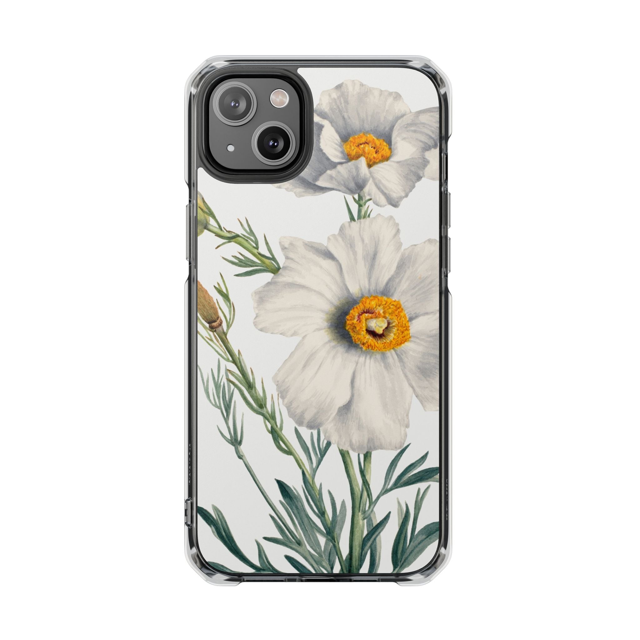 Matilija Poppy by Mary Vaux Walcott - Magnetic Clear Impact Case