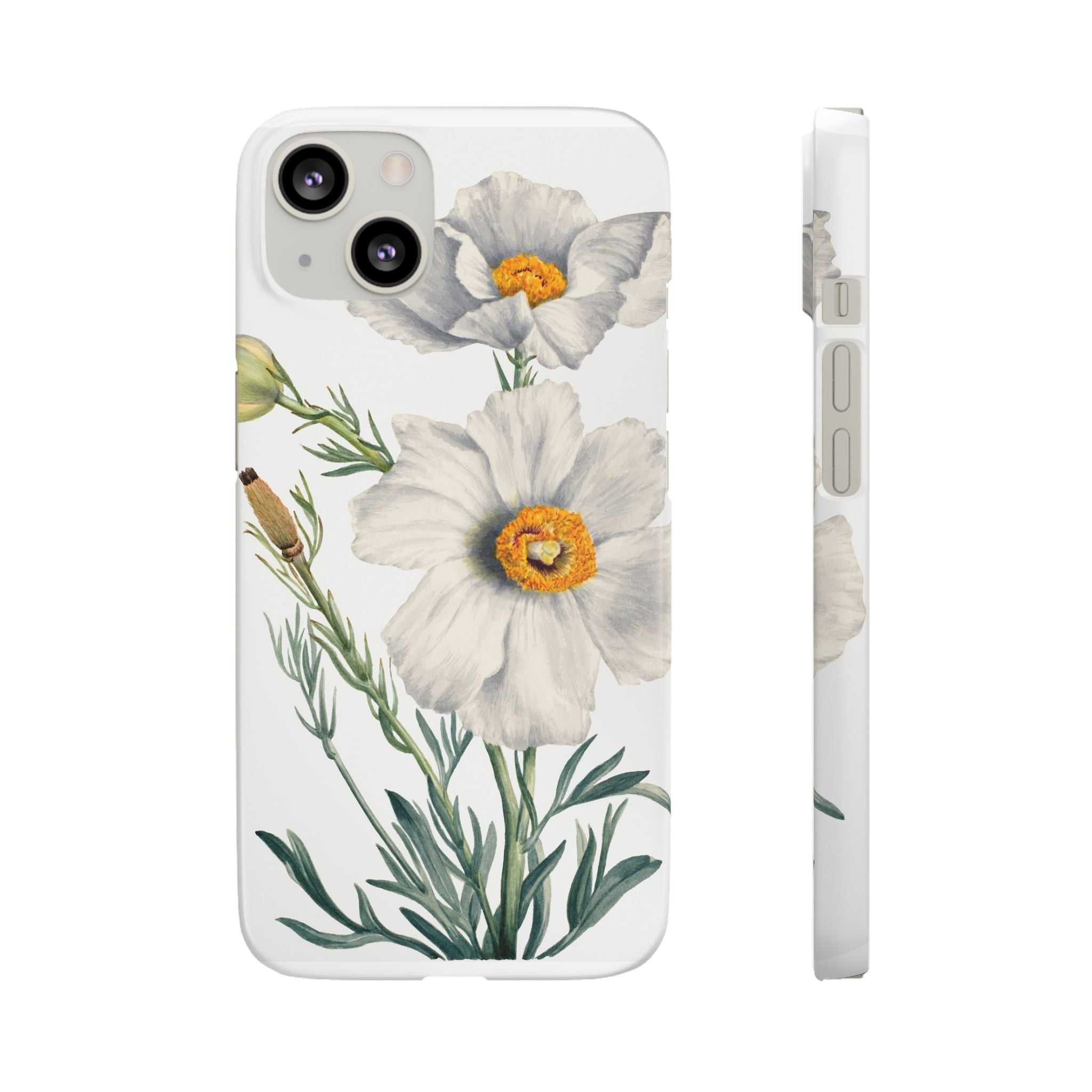 Matilija Poppy by Mary Vaux Walcott - Snap Case