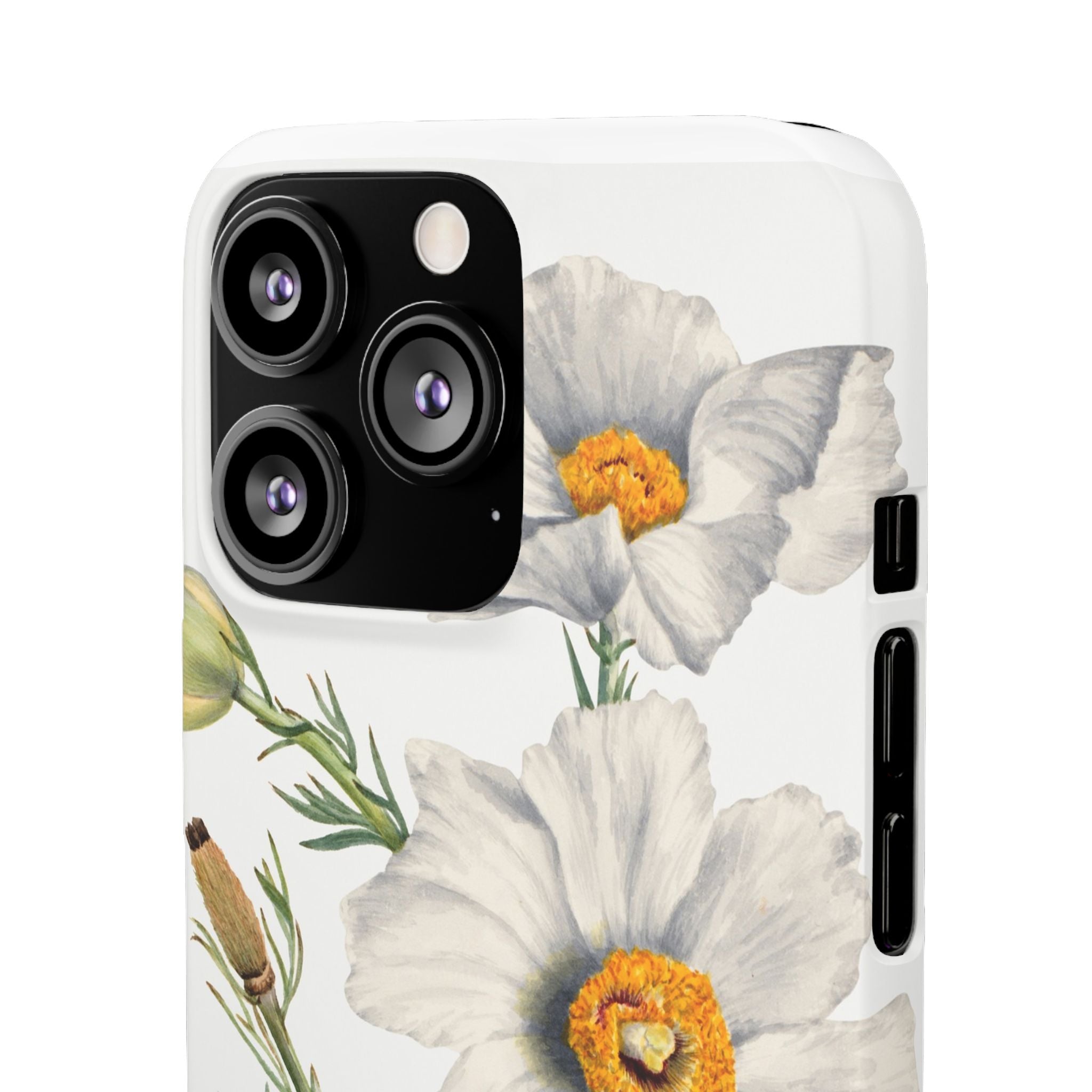 Matilija Poppy by Mary Vaux Walcott - Snap Case