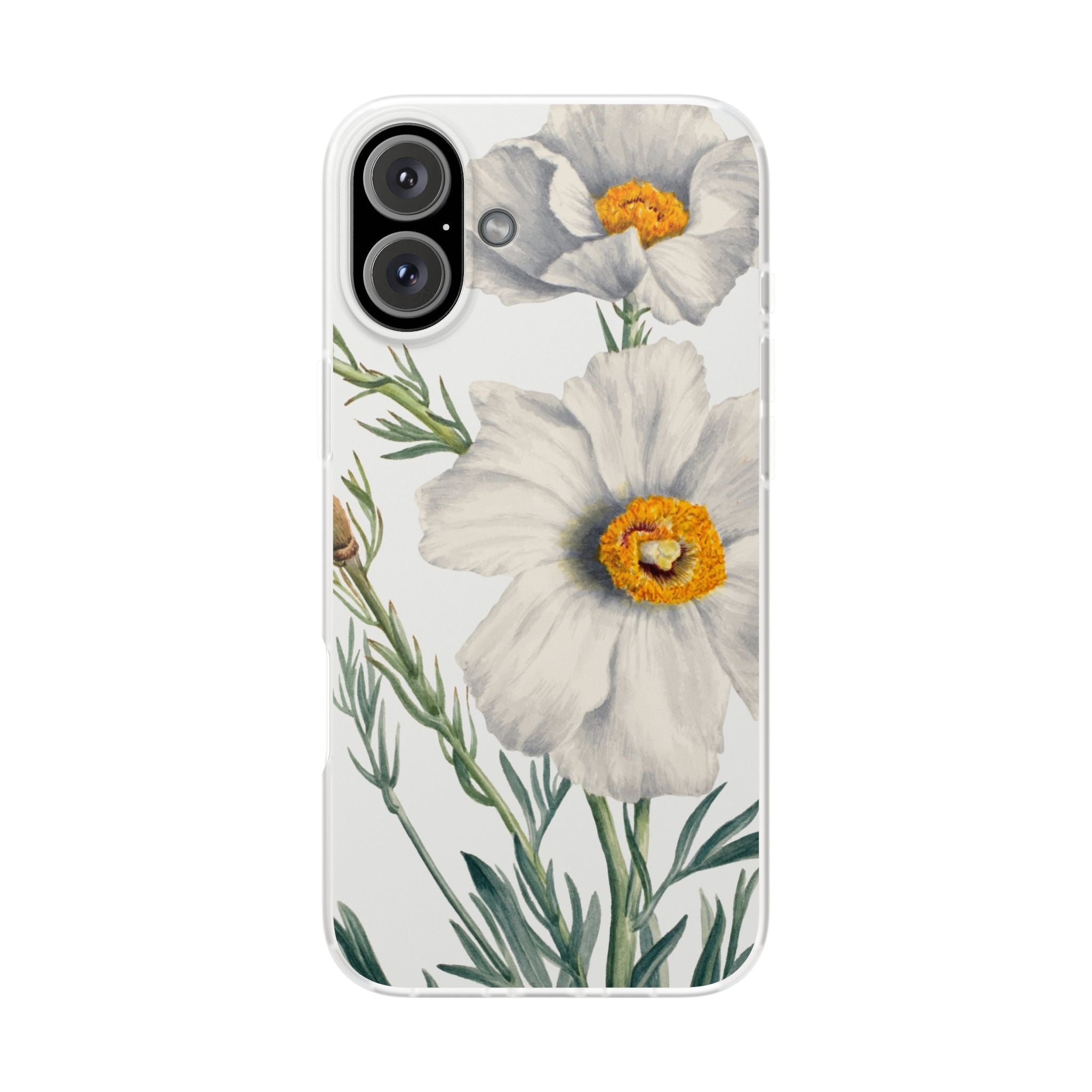 Matilija Poppy by Mary Vaux Walcott - Flexi Case