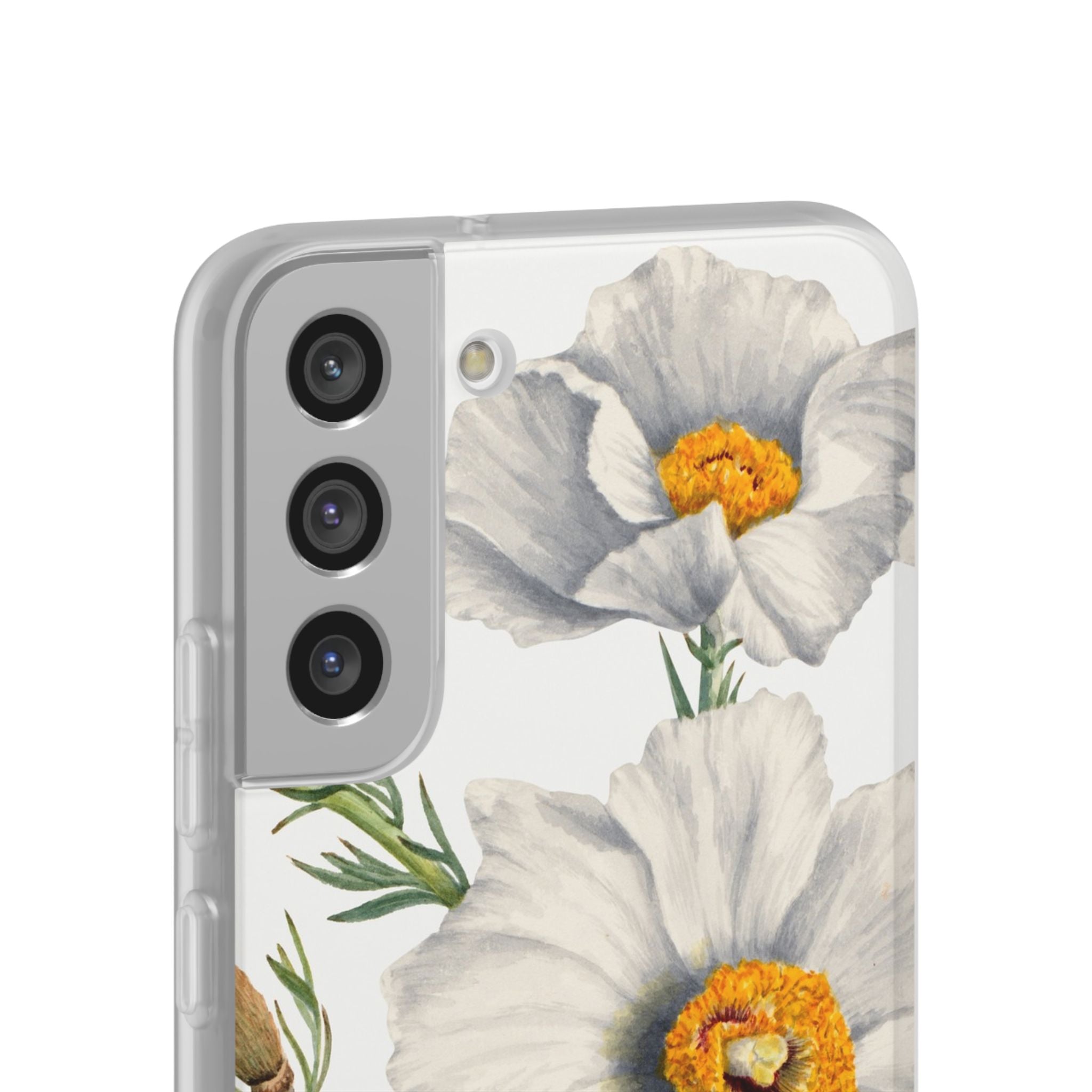 Matilija Poppy by Mary Vaux Walcott - Flexi Case