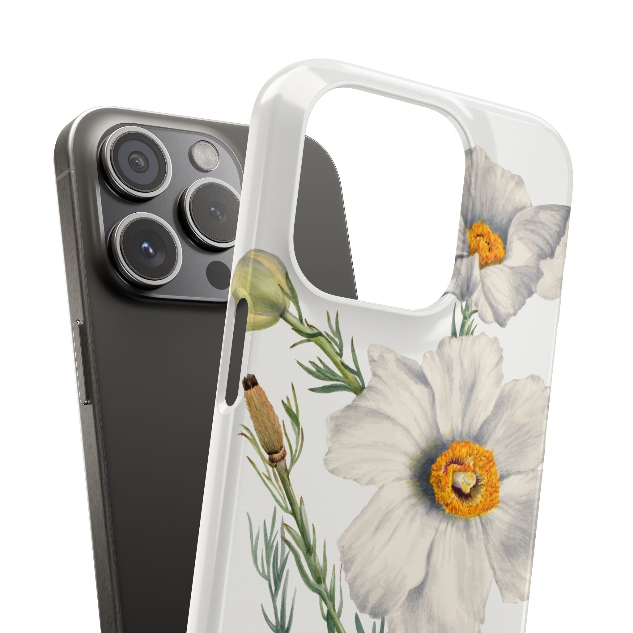 Matilija Poppy by Mary Vaux Walcott - Snap Case