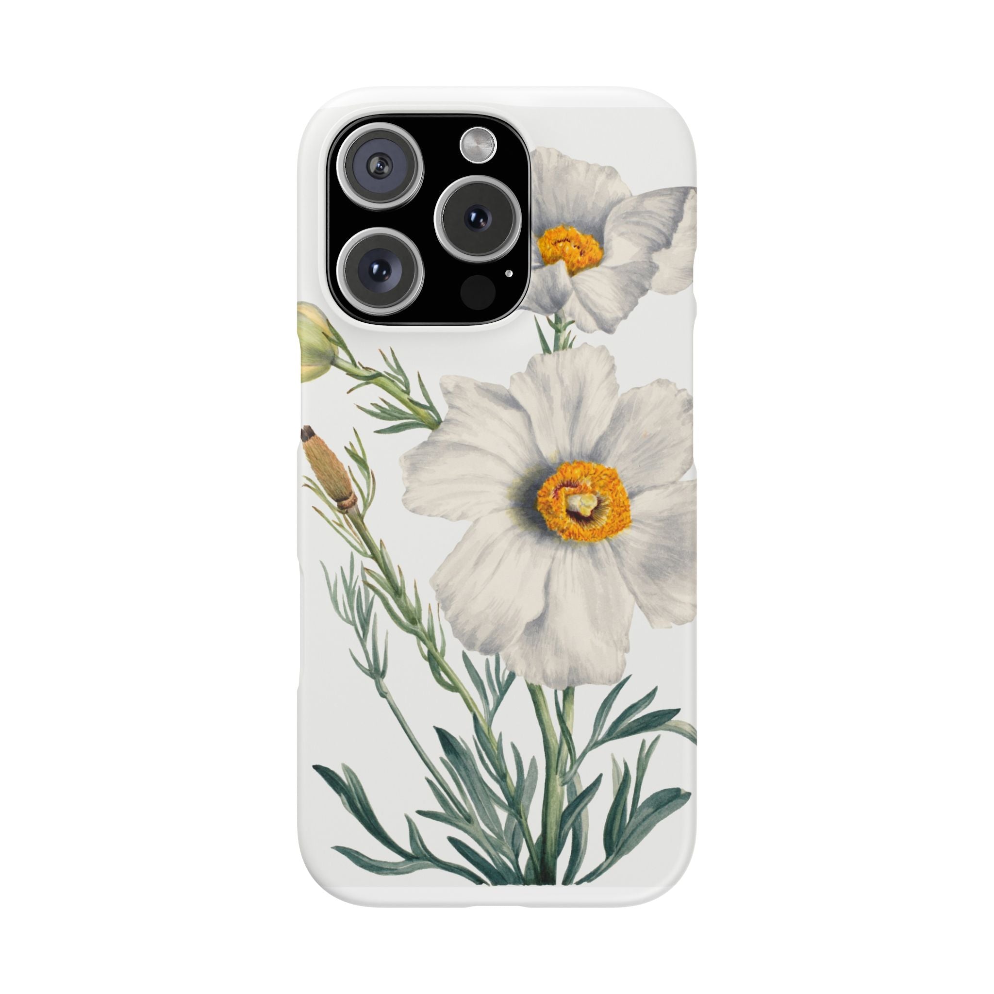 Matilija Poppy by Mary Vaux Walcott - Snap Case