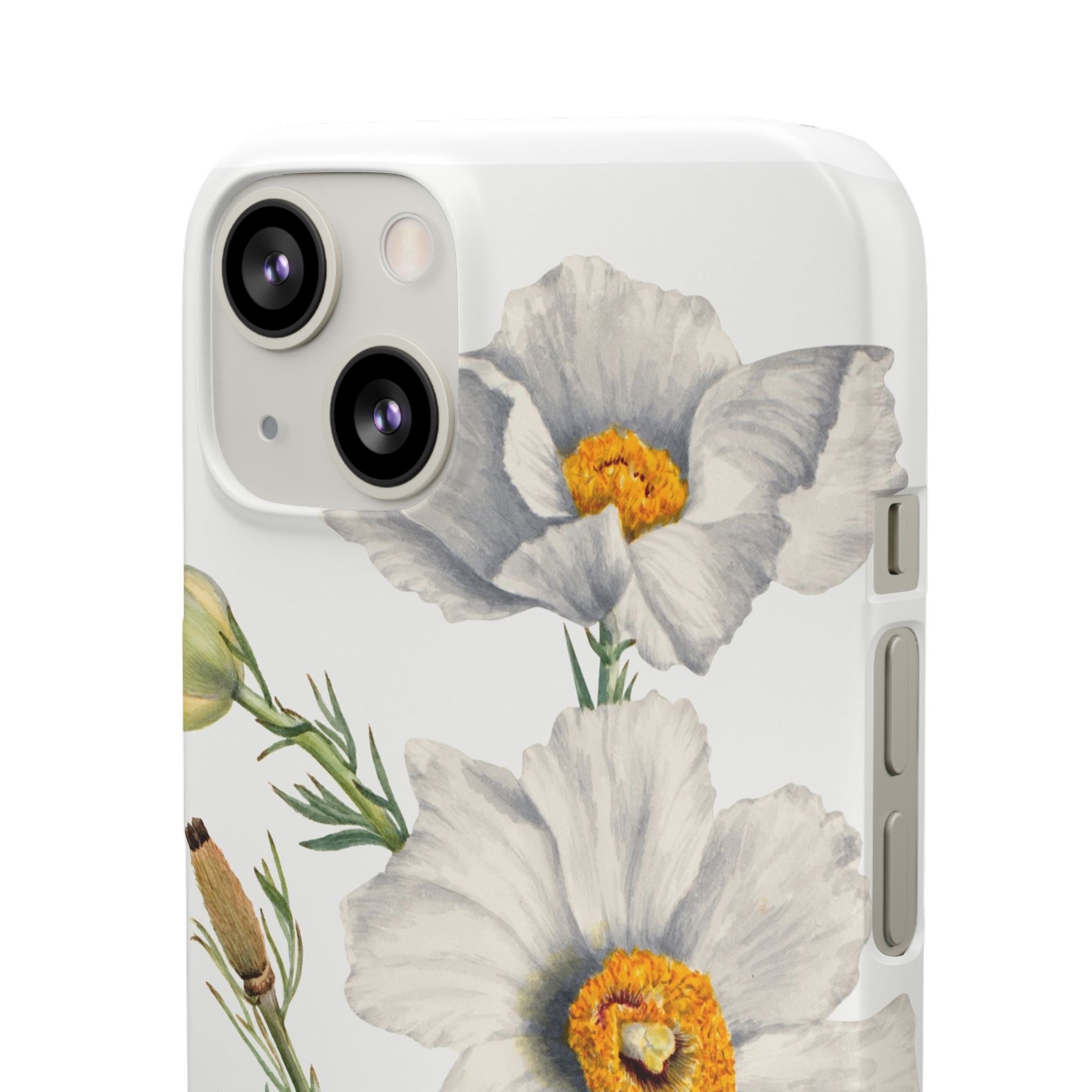 Matilija Poppy by Mary Vaux Walcott - Snap Case