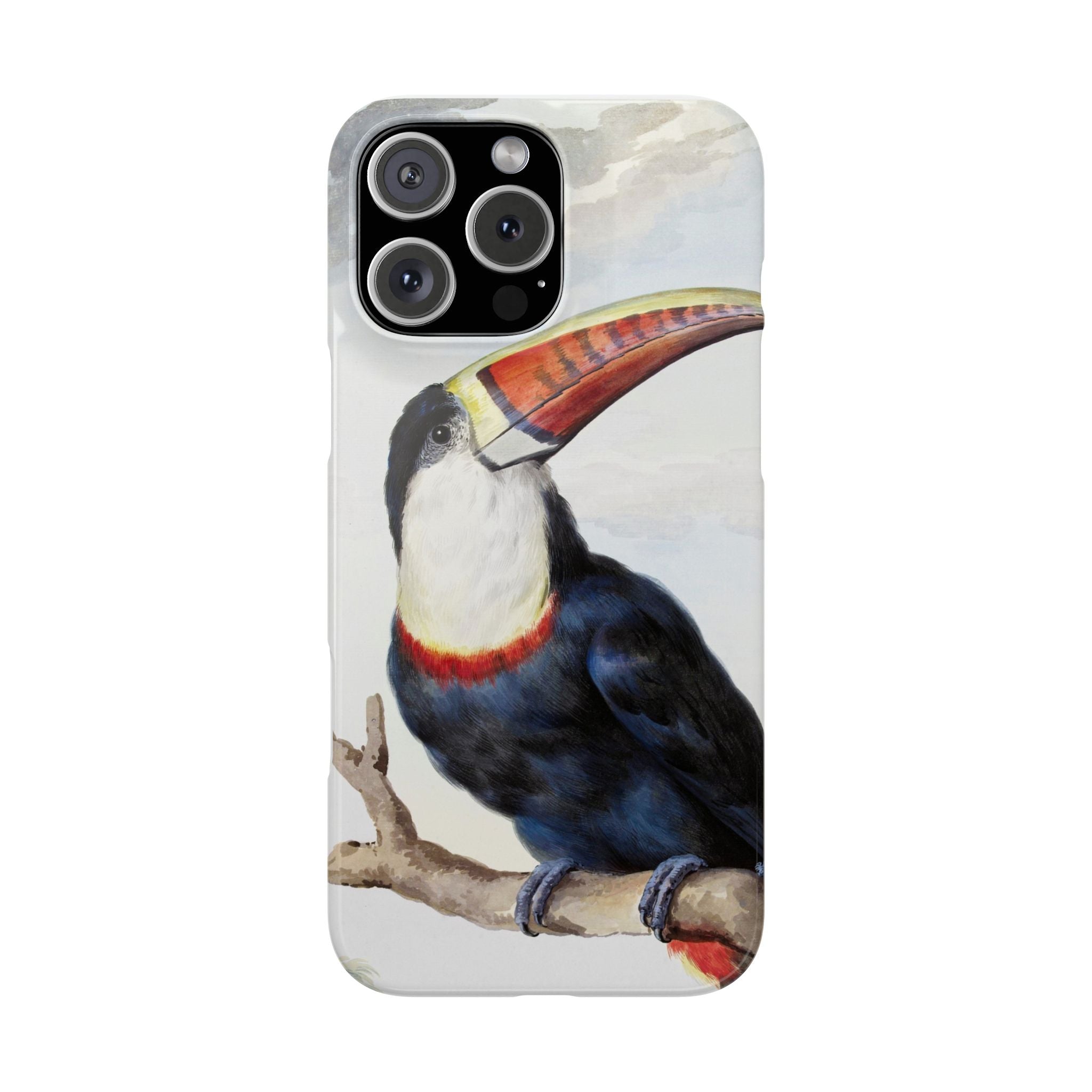 Red-billed Toucan (1748) - Snap Case