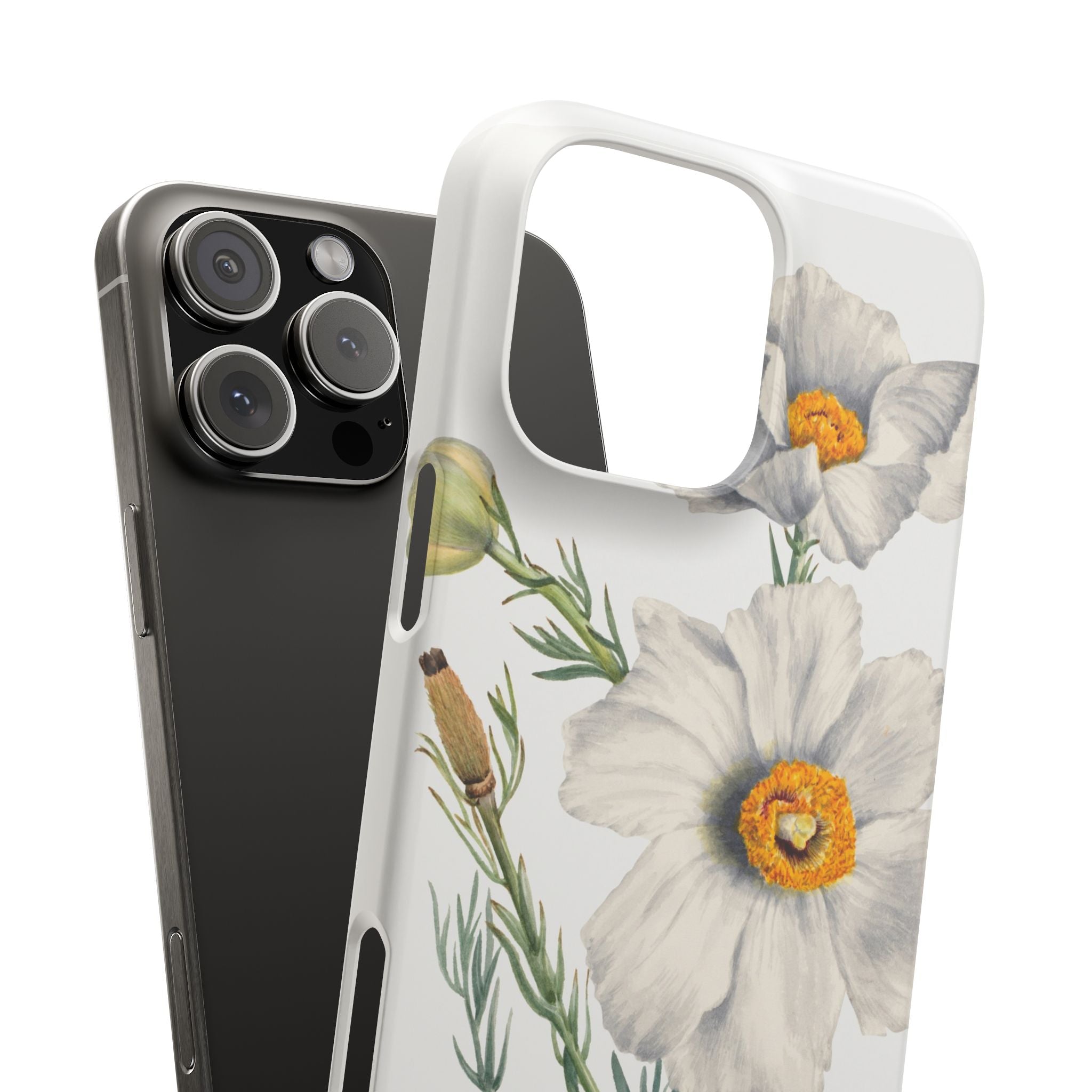 Matilija Poppy by Mary Vaux Walcott - Snap Case