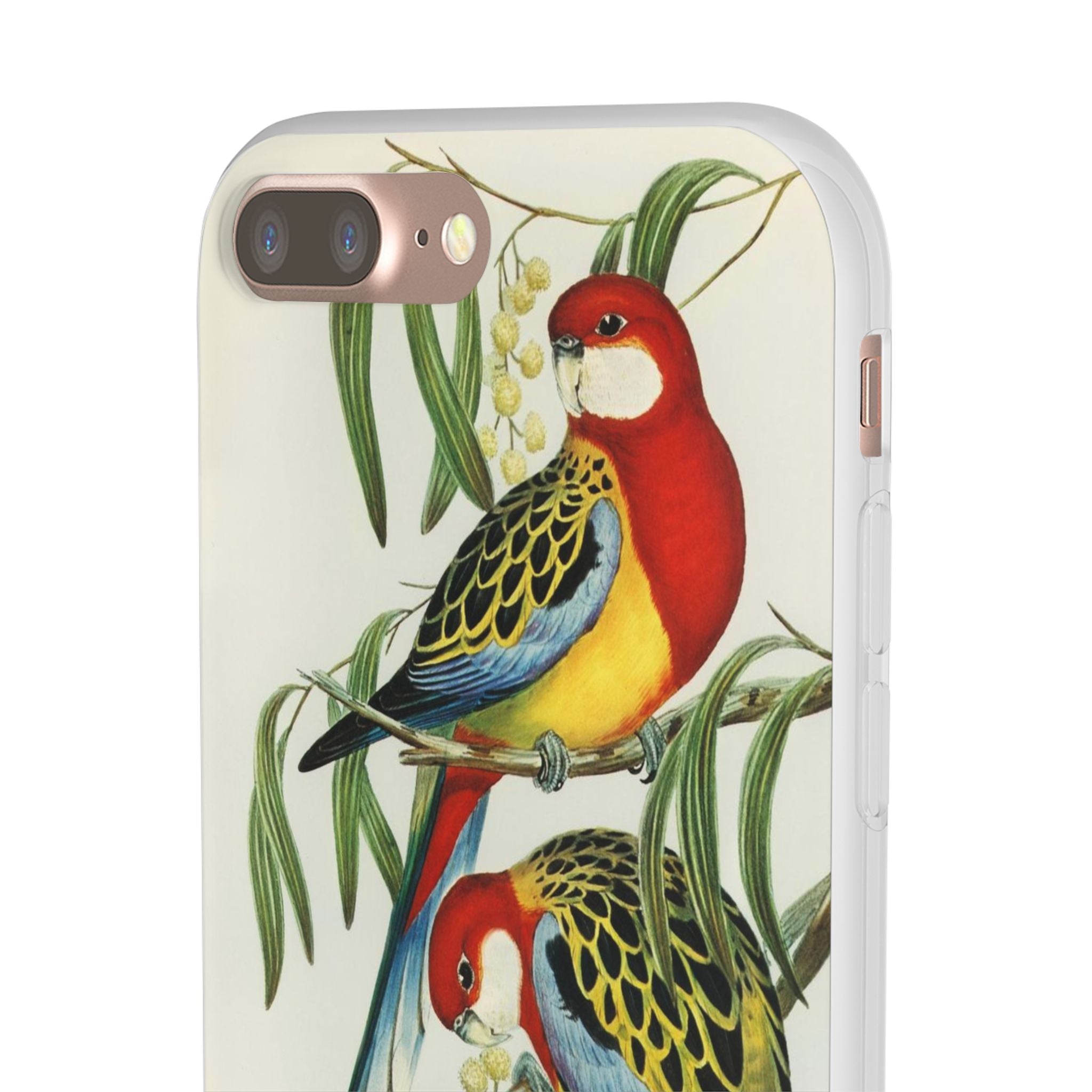 Rosehill Parakeet by Elizabeth Gould - Flexi Case