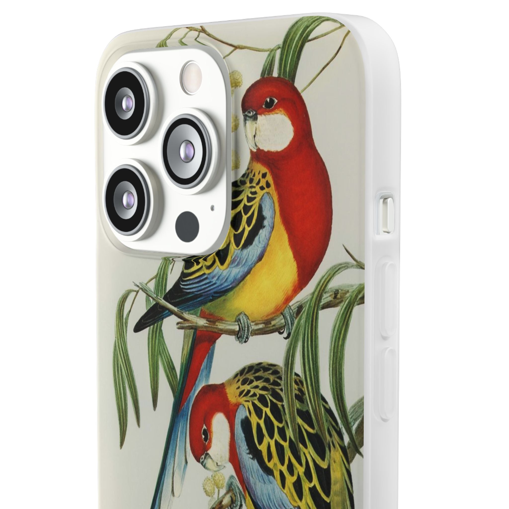 Rosehill Parakeet by Elizabeth Gould - Flexi Case