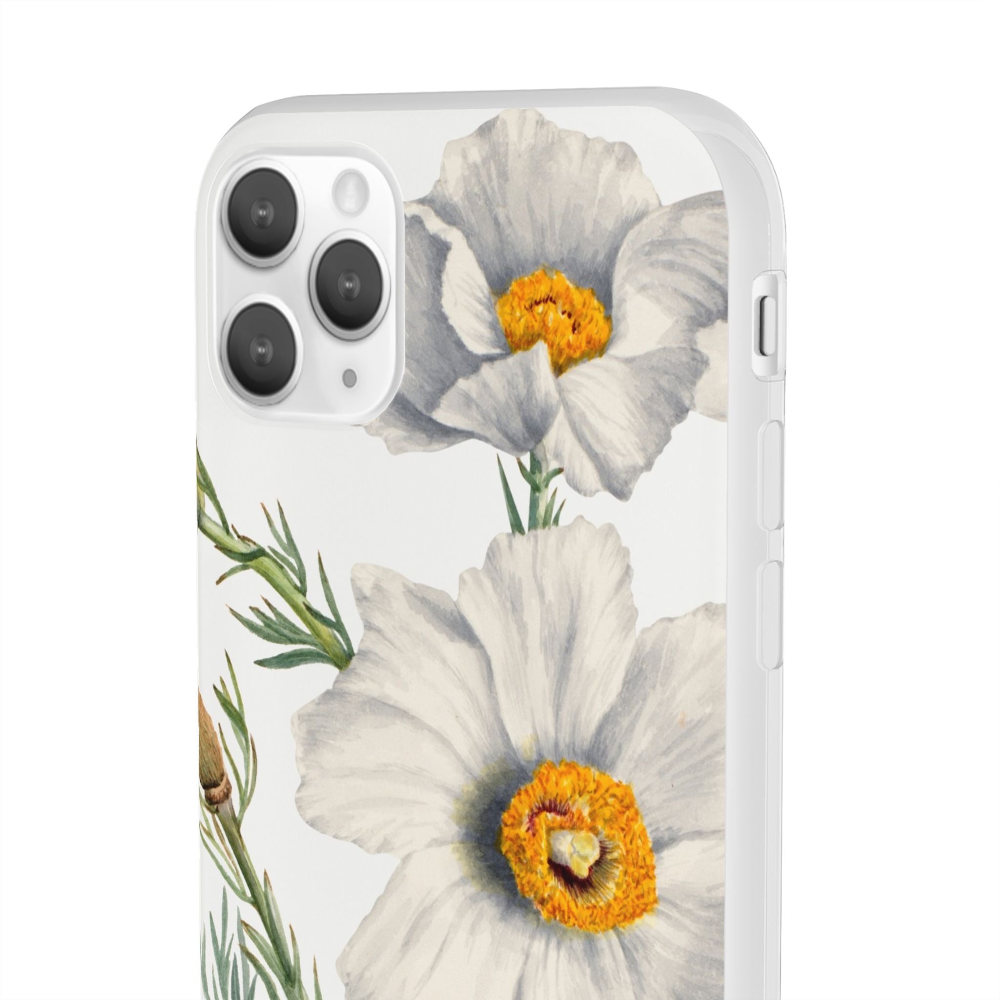 Matilija Poppy by Mary Vaux Walcott - Flexi Case