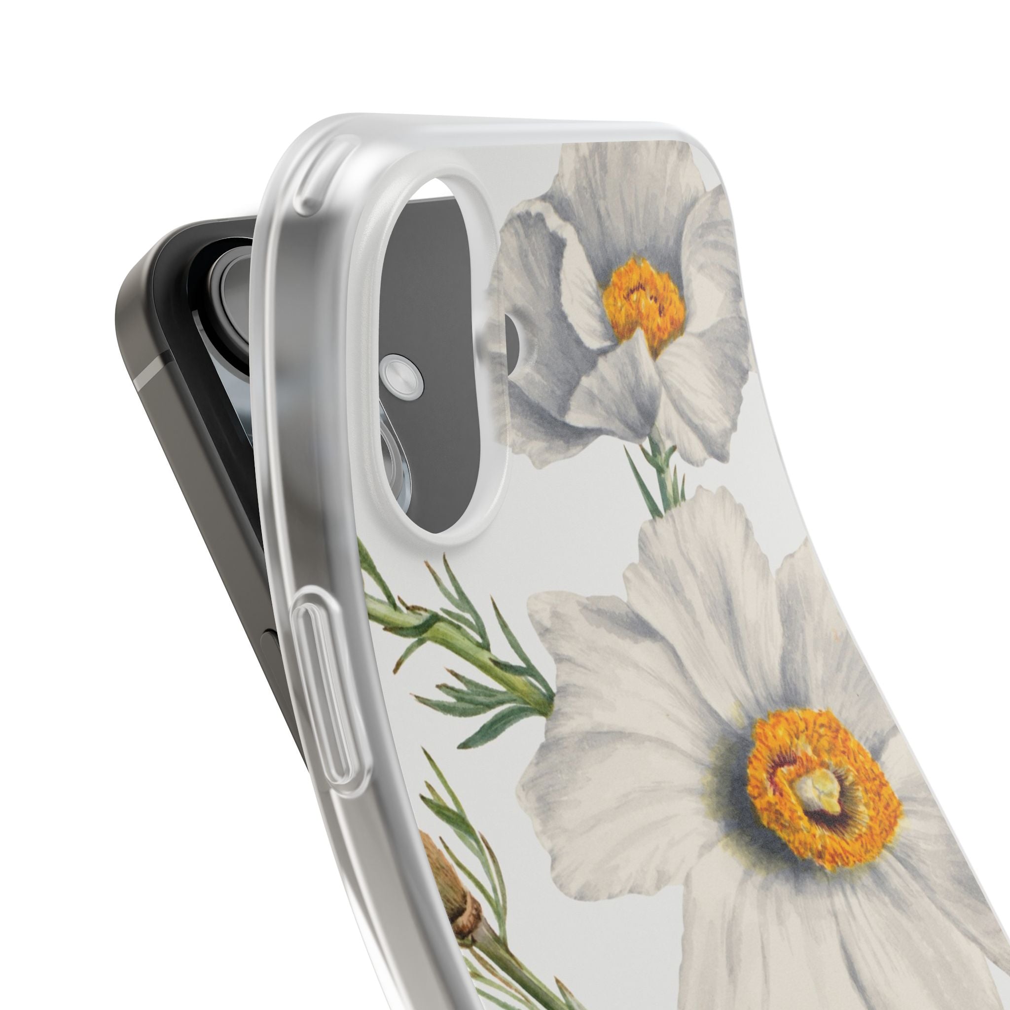 Matilija Poppy by Mary Vaux Walcott - Flexi Case