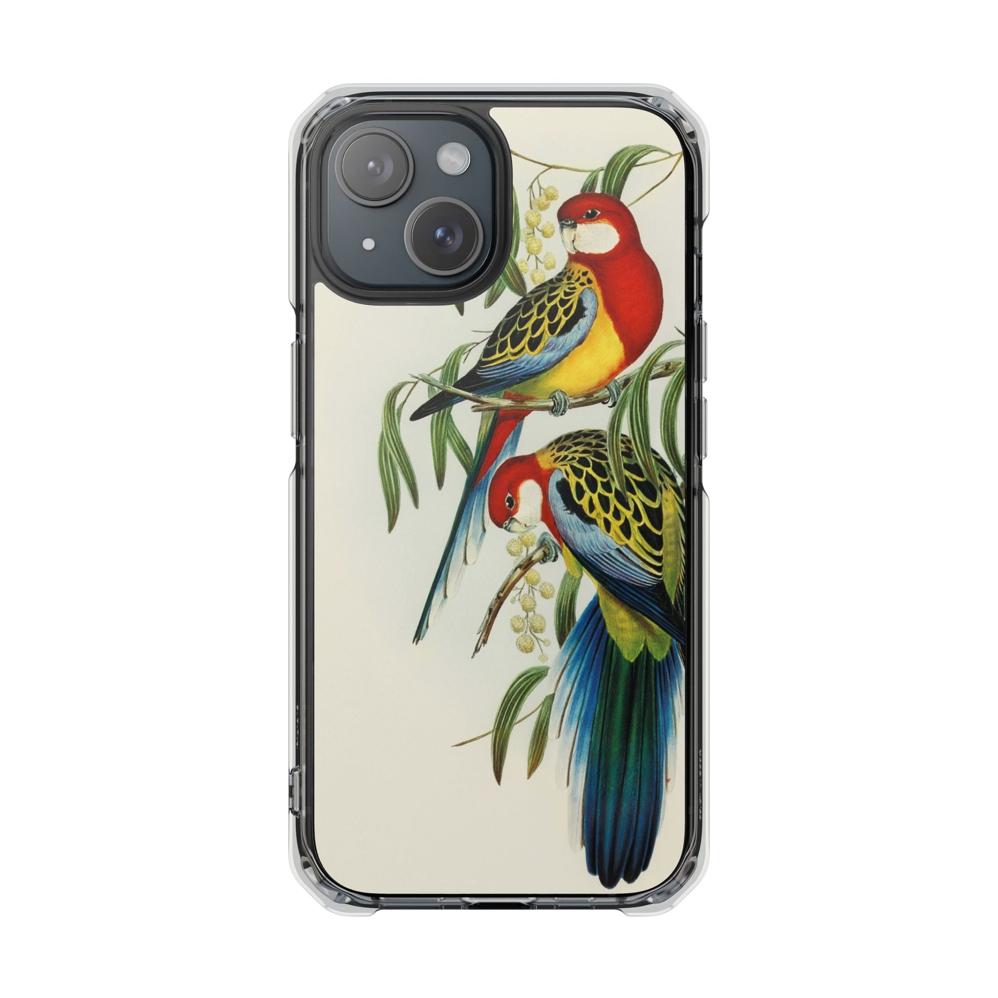 Rosehill Parakeet by Elizabeth Gould - Magnetic Clear Impact Case