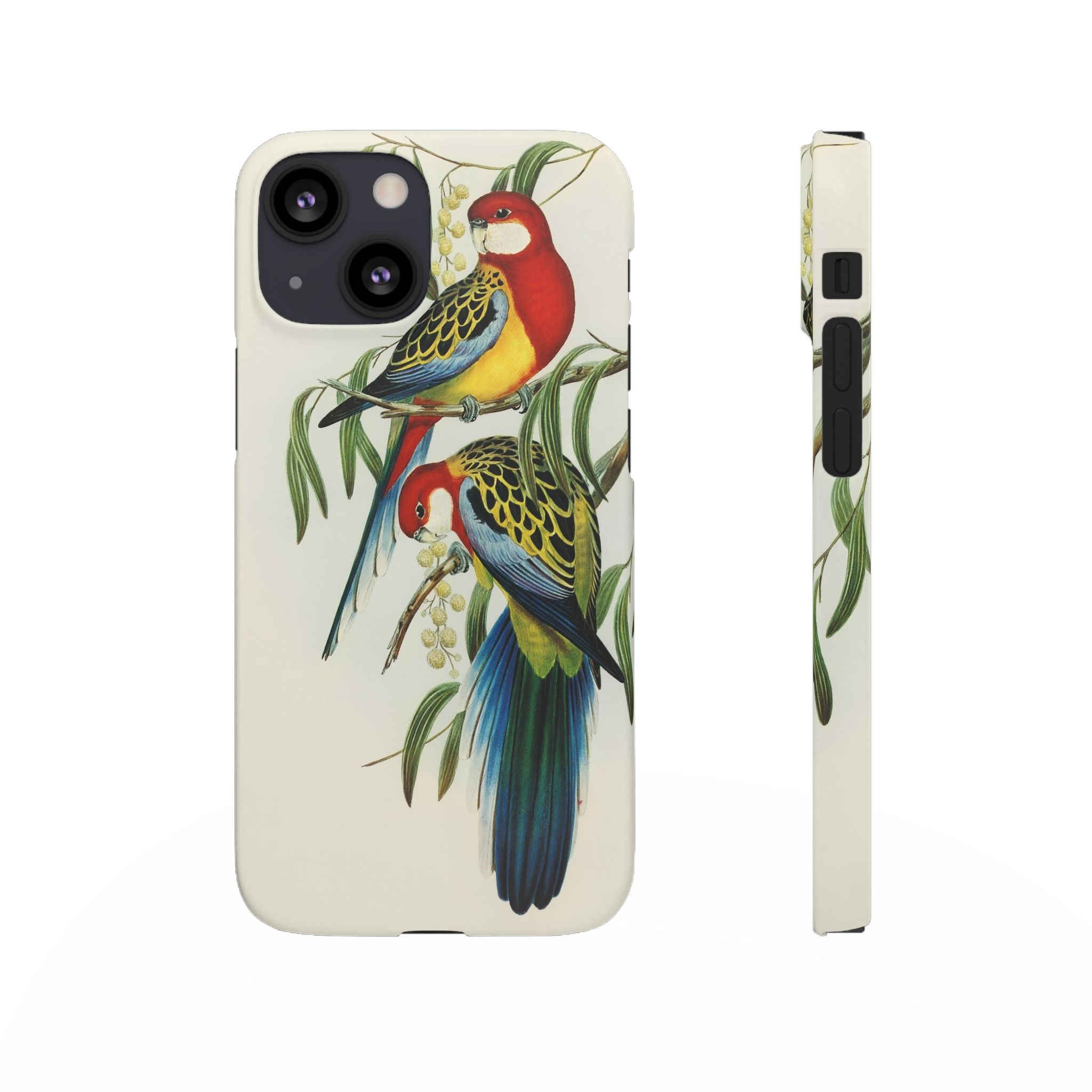 Rosehill Parakeet by Elizabeth Gould - Snap Case