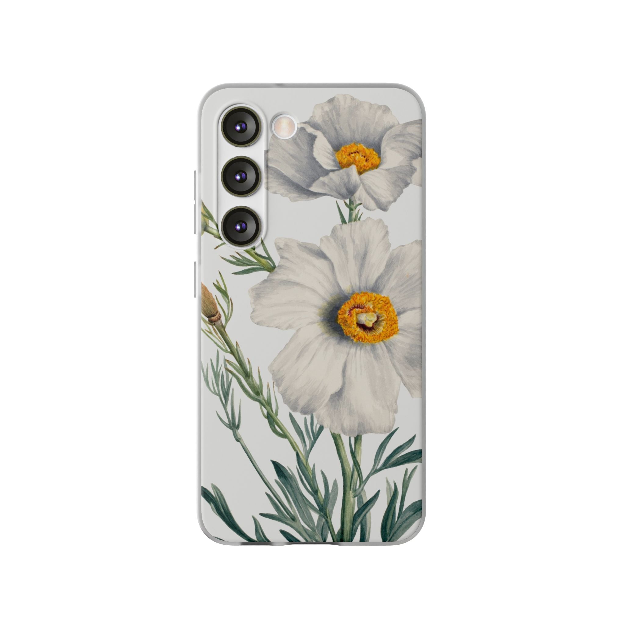 Matilija Poppy by Mary Vaux Walcott - Flexi Case