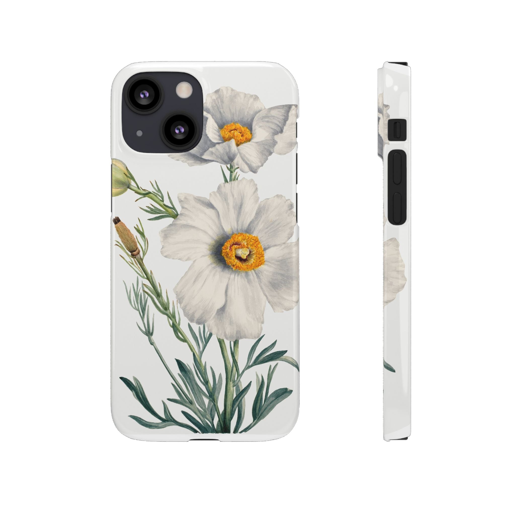 Matilija Poppy by Mary Vaux Walcott - Snap Case