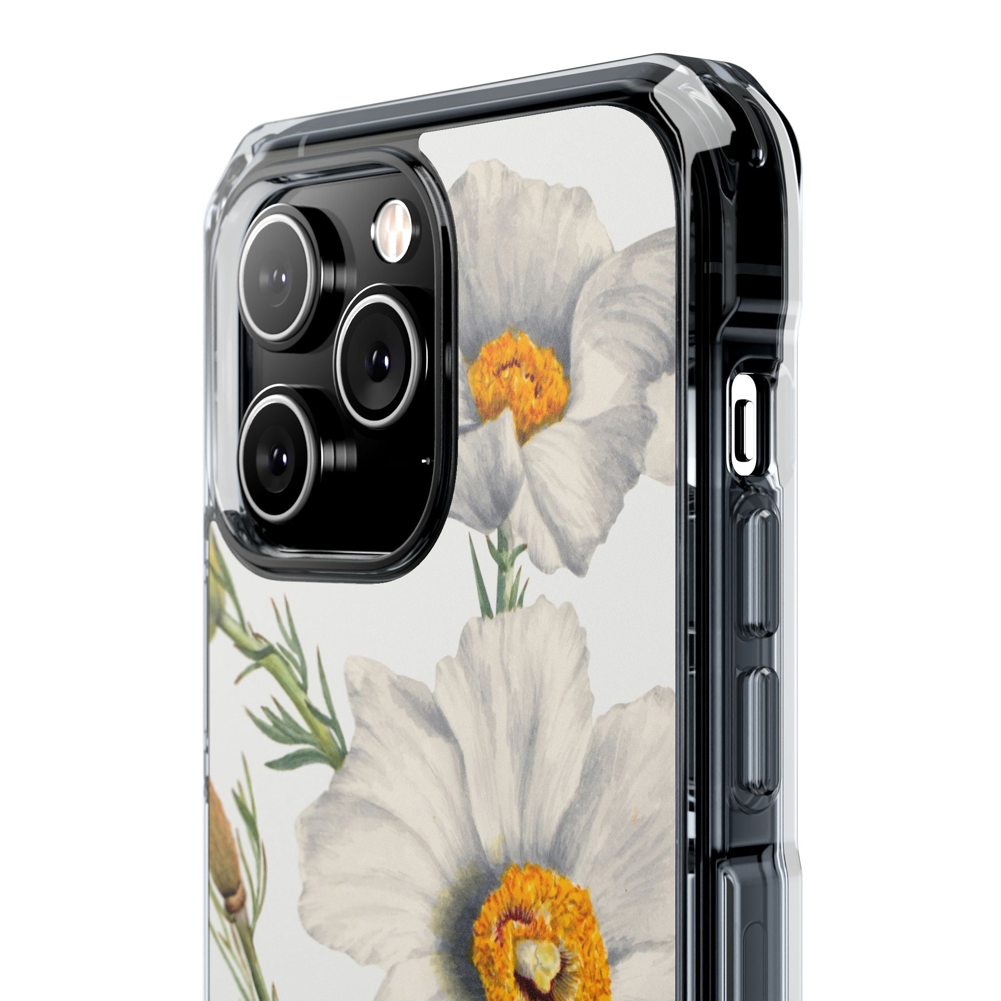 Matilija Poppy by Mary Vaux Walcott - Magnetic Clear Impact Case