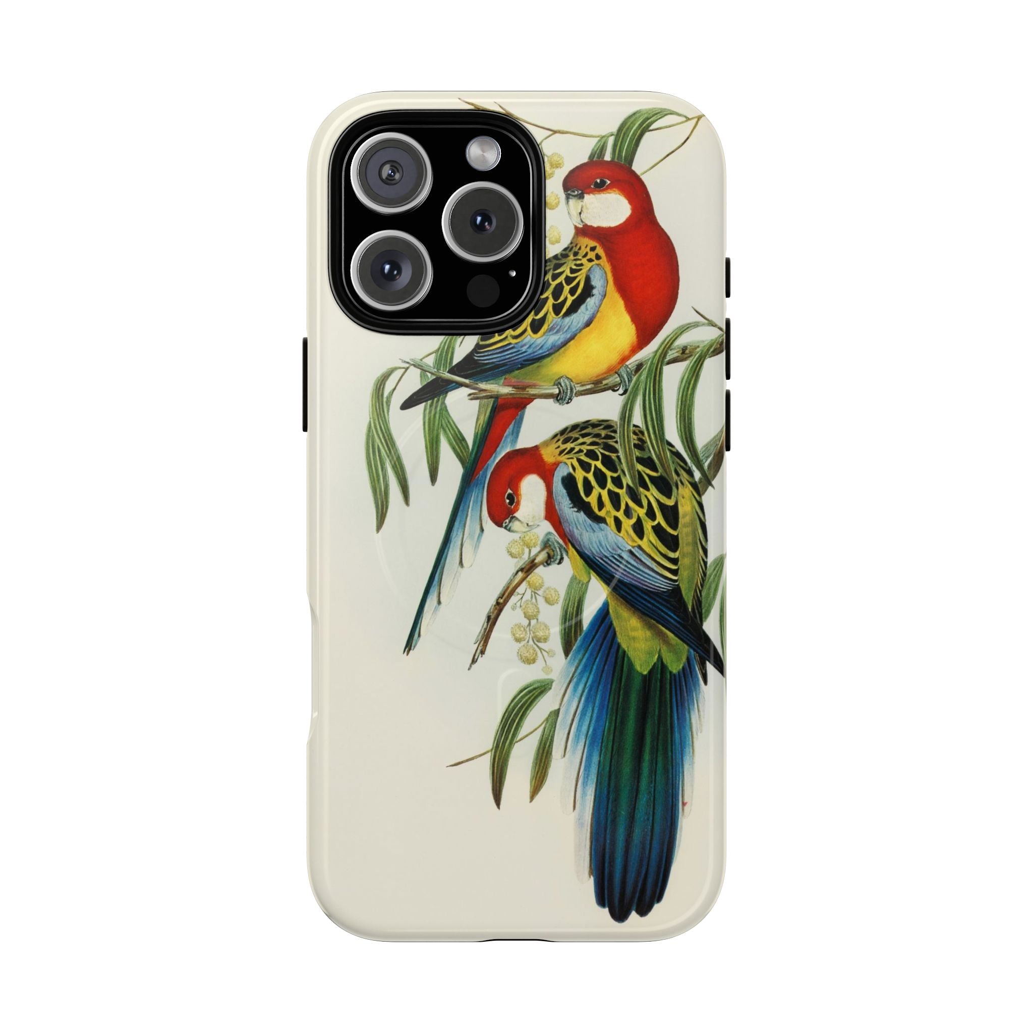 Rosehill Parakeet by Elizabeth Gould - Tough Magnetic Case