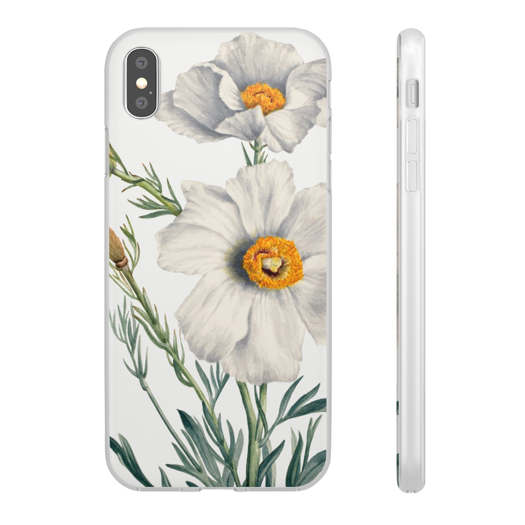 Matilija Poppy by Mary Vaux Walcott - Flexi Case