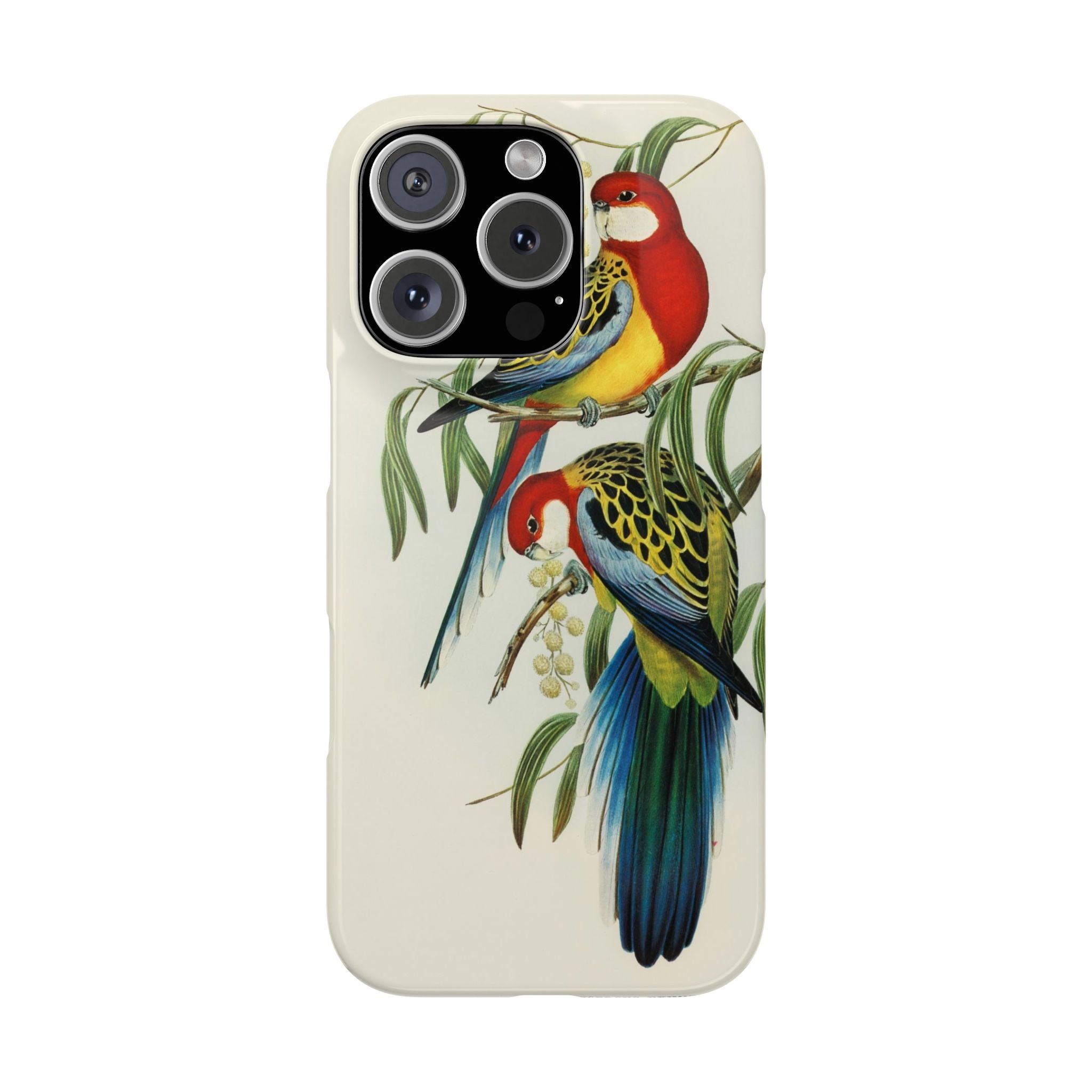 Rosehill Parakeet by Elizabeth Gould - Snap Case