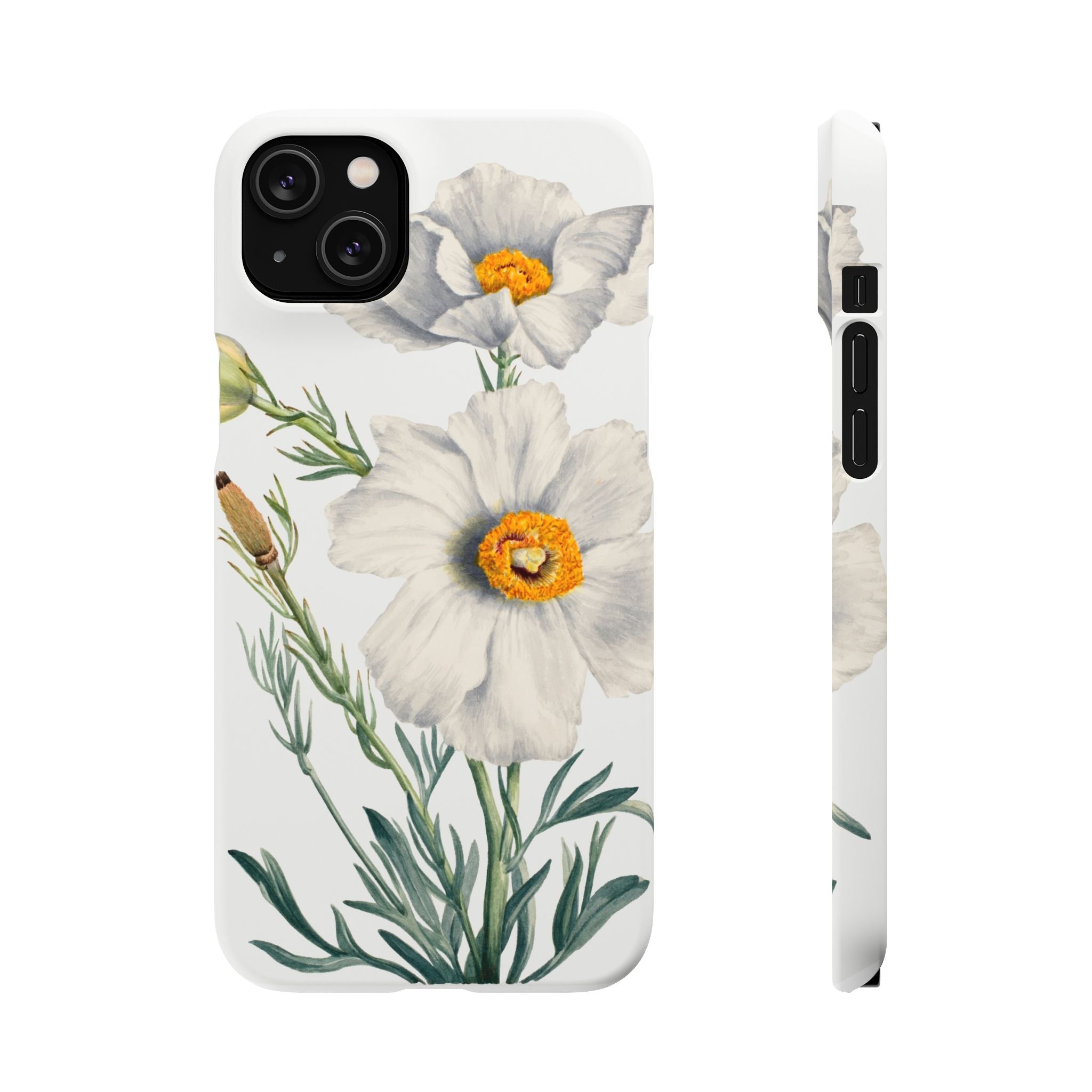 Matilija Poppy by Mary Vaux Walcott - Snap Case