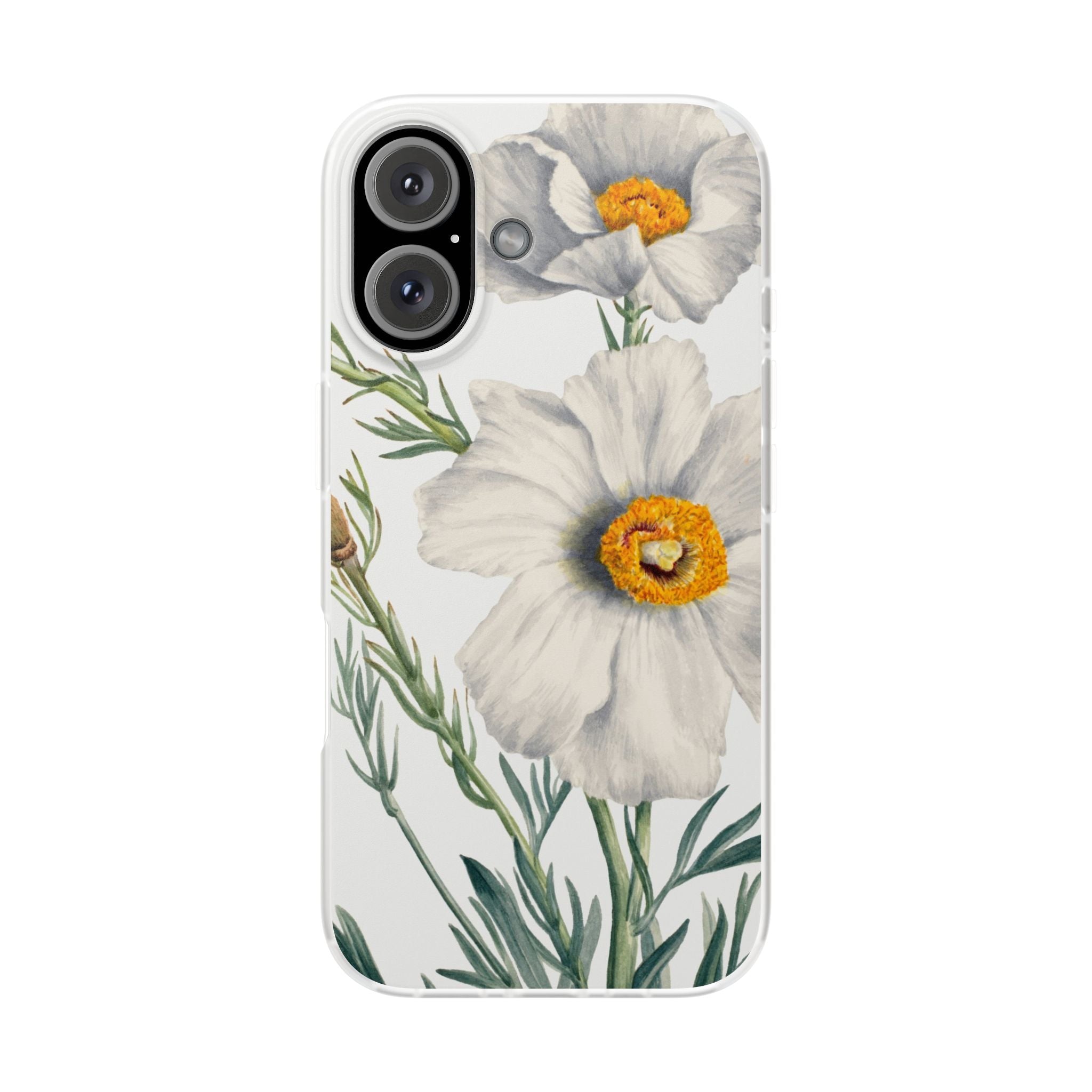 Matilija Poppy by Mary Vaux Walcott - Flexi Case