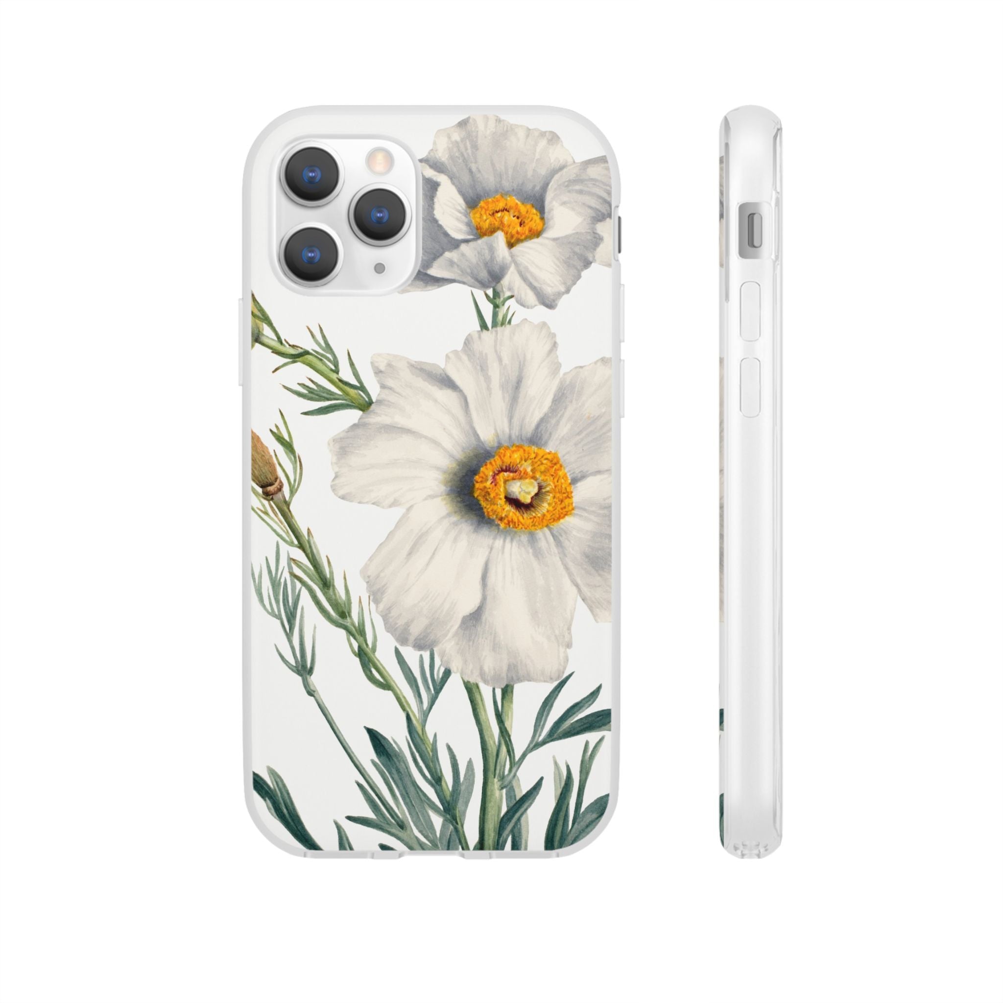 Matilija Poppy by Mary Vaux Walcott - Flexi Case