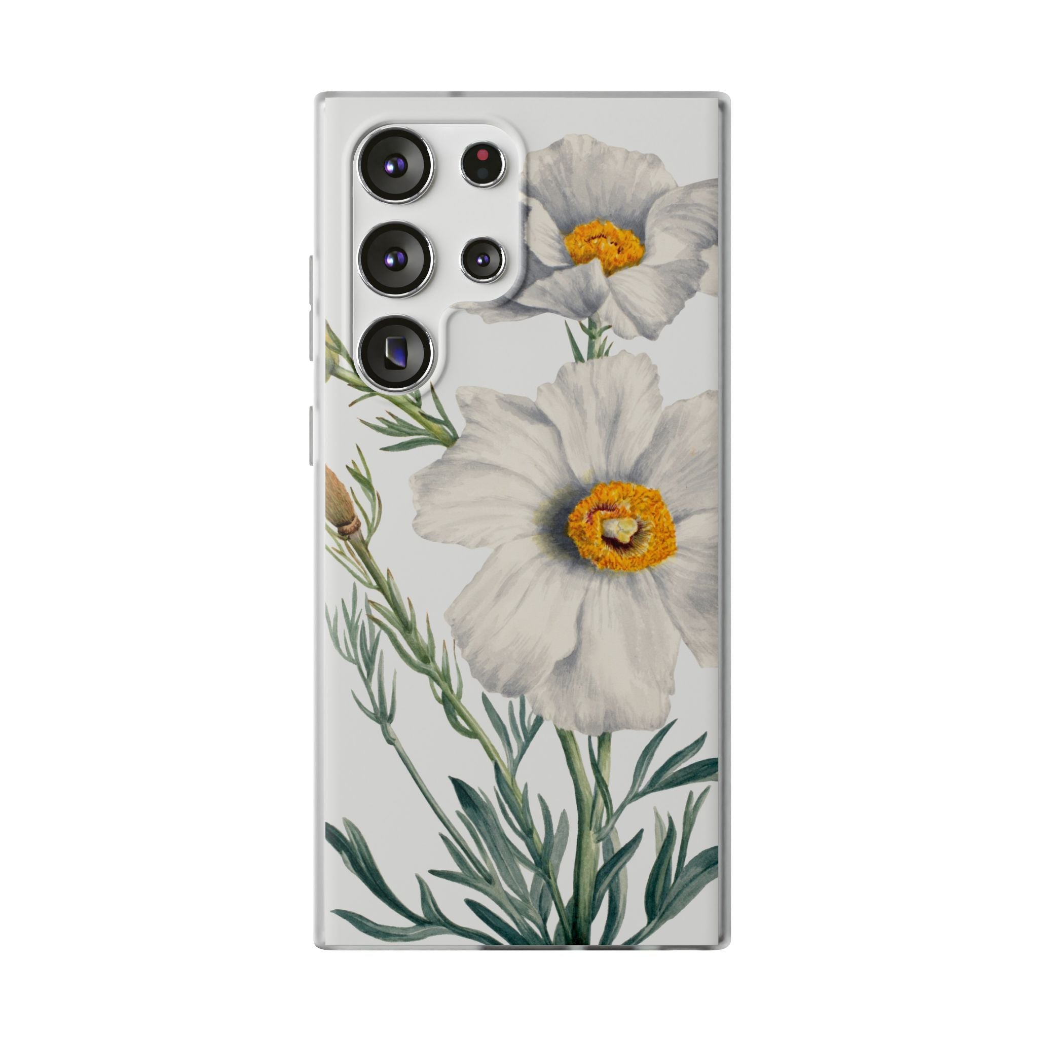 Matilija Poppy by Mary Vaux Walcott - Flexi Case