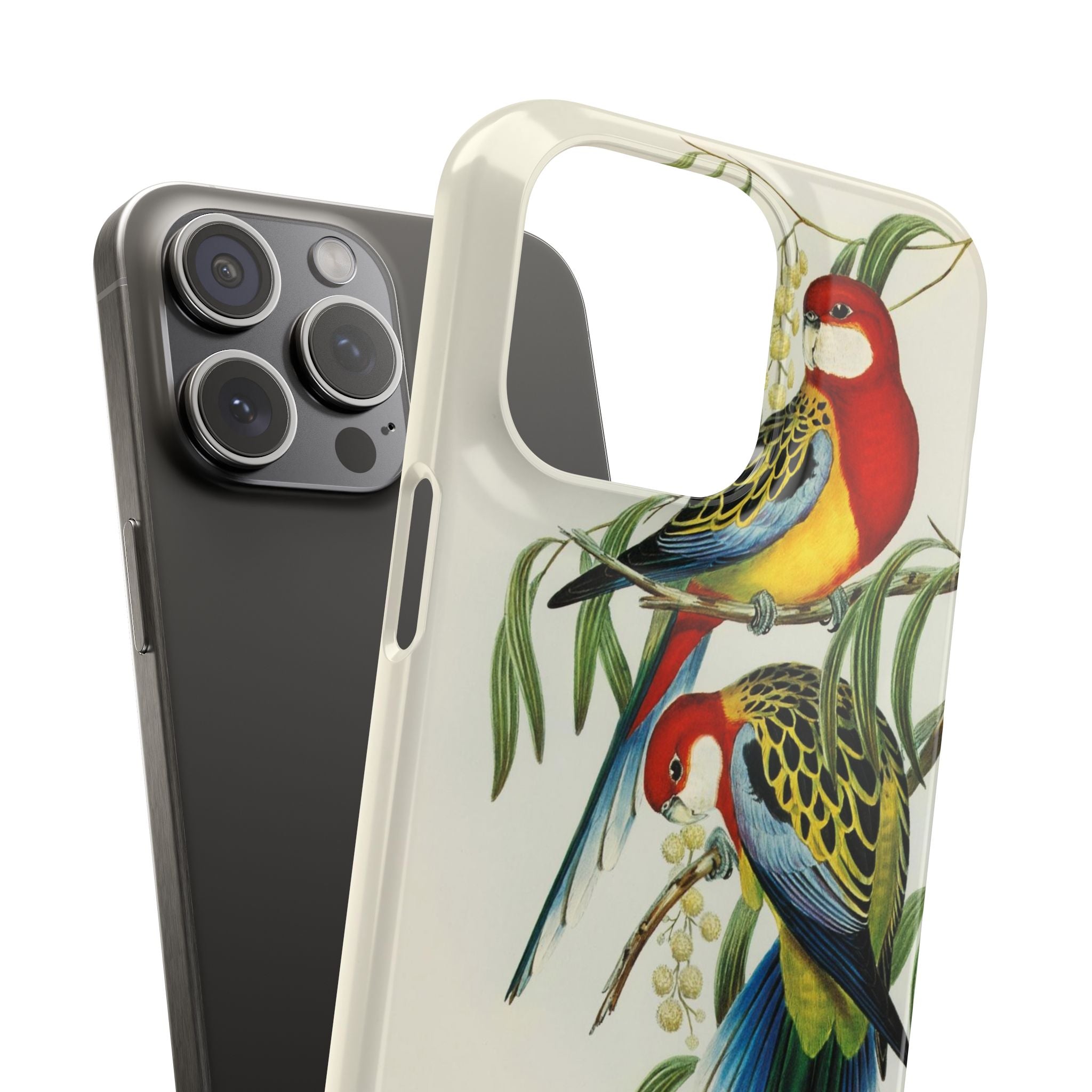 Rosehill Parakeet by Elizabeth Gould - Snap Case