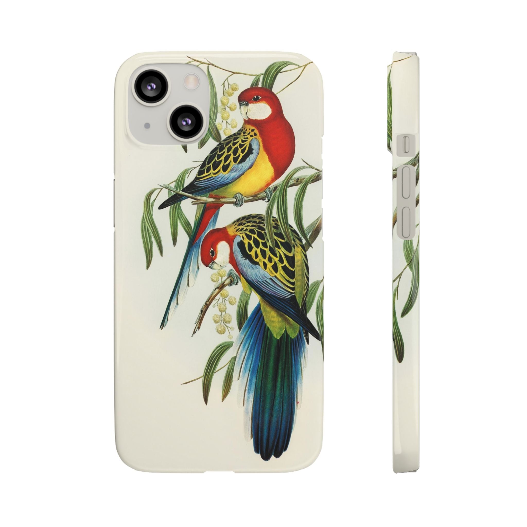 Rosehill Parakeet by Elizabeth Gould - Snap Case